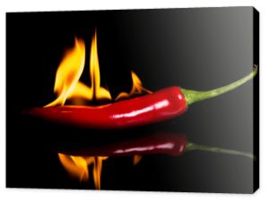 ostra papryka - chili i płomienie na czarnym tle