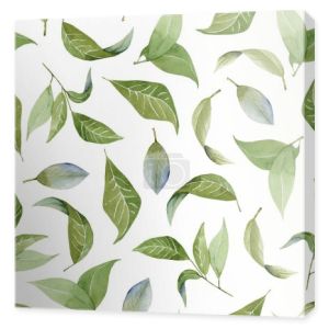 Kwiatowy wzór z akwarela zielonych liści, ręcznie rysowane na białym tle na białym tle