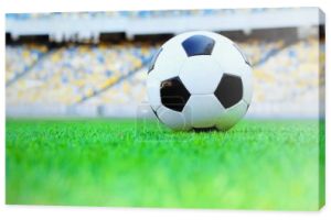leather soccer ball on green fresh grass at stadium 