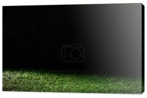boisko do piłki nożnej z zielonej trawy na tle czarnego, kwiatowy