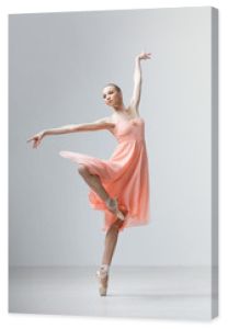 tancerz baletowy