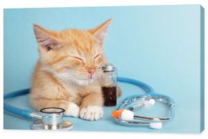 śpiący uroczy kociak z imbiru, stetoskop, strzykawka z insuliną i lek w butelce do wstrzykiwań na niebieskim tle, koncepcja kliniki weterynaryjnej dla zwierząt i koncepcji leczenia