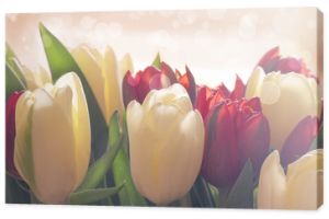 Delikatny bukiet tulipanów, pastelowe kolory