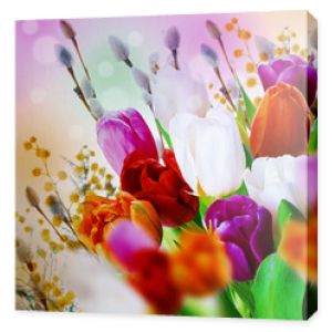 Wielokolorowe tulipany z wierzbą i motylami. Wielkanocne kwiaty, kwiatowy tło.