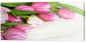 Różowe kwiaty tulipanów na białym tiulowym tle