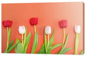 Piękne tulipany przetargu