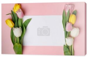 Kolorowe tulipany z pustej strony na różowym tle