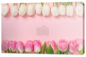 różowe i białe tulipany są ułożone w rzędach na różowym tle z miejsca kopii
