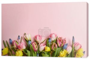 Widok z góry piękny różowy tulipany, Hiacynty niebieski i żółty Narcyz kwiaty na różowym tle