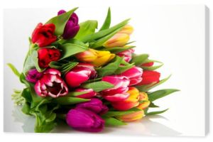 różne kolorowe tulipany holenderski na białym tle