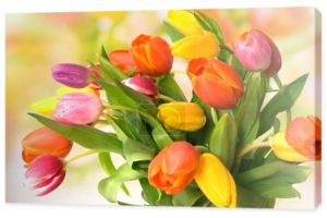 bukiet świeżych tulipany