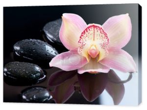 Zen kamienie i orchidea kwiat. Masaż kamieniami