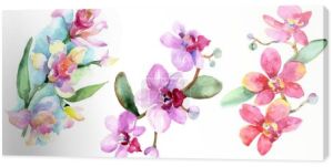 Piękne kwiaty orchidei z zielonych liści na białym tle. Ilustracji tle akwarela. Akwarela rysunku mody aquarelle. Element ilustracja na białym tle storczyki.