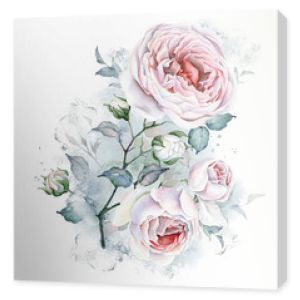 Watercolor Flowers. Roses Bouquet. White and Pink Roses. Floral illustration. Leaves and buds. Botanic composition for wedding or greeting cards or other projects
