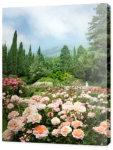 Ogród róż