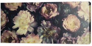 Vintage bukiet pięknych piwonii na czarno. Dekoracja florystyczna. Tle kwiatów. Barokowy styl starej mody. Tapeta z naturalnymi kwiatami lub kartka z życzeniami
