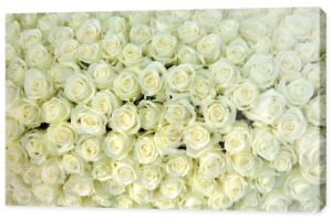 Grupa białych róż, ślubne dekoracje
