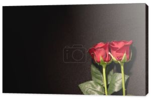 dwie czerwone róże na czarnym tle, koncepcja pogrzebu