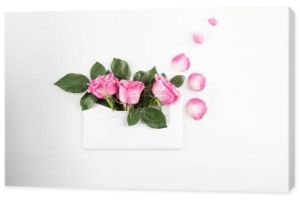 róż w kopercie