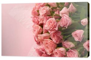 zbliżenie piękna przetargu różowy róż kwiatów na różowym tle