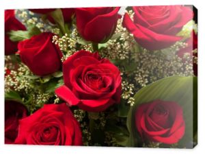 bliska czerwona róża bukiet z róż
