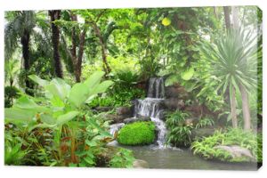 Wodospad w tropikalnym ogrodzie