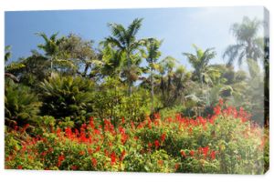 Park z roślinami tropikalnymi