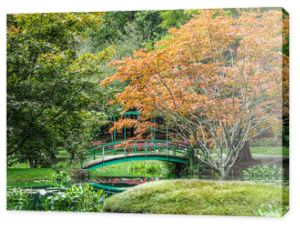 Piękny zielony most odzwierciedlony w stawie liliowym