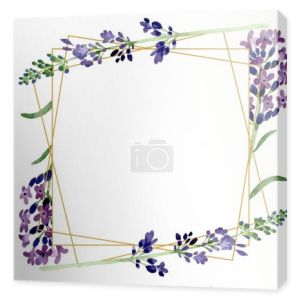 Fioletowy Lawenda kwiatowy kwiat botaniczny. Akwarela zestaw ilustracji tła. Obramowanie ramy ornament kwadrat.