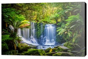Horseshoe Falls w Parku Narodowym Mt Field, Tasmania, Australia