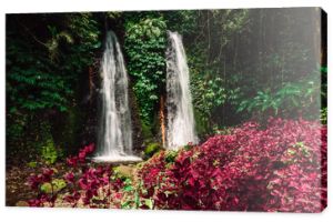 Kaskada wodospadów dżungli w tropikalnym lesie deszczowym z różowymi roślinami