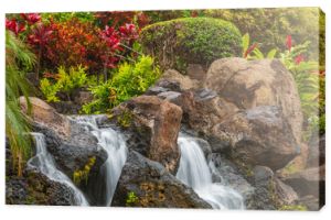 Piękny wodospad na Maui
