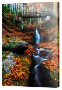 Atrakcyjna jesienna sceneria, wodospad na małej rzece w lesie pod drewnianym mostem,
