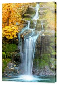 Krajobraz wodospad w żółty jesienny Las