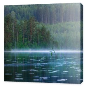 Jezioro Saimaa w Finlandii