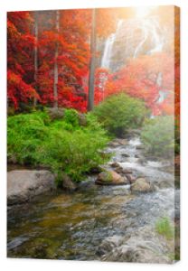 Las jesienią z rzeką i wodospadami. W jesiennym lesie są piękne rzeki i wodospady. Dzika jesień z pięknymi rzekami i wodospadami.