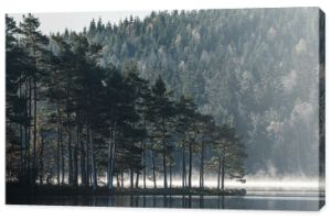 Przylądek z drzewami na jeziorze nieruchomym, Szwecja.