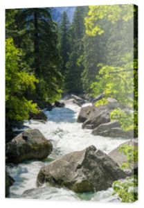 Rzeka Merced płynąca szybko przez las, Park Narodowy Yosemite w Kalifornii