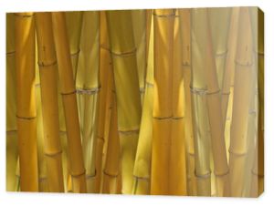 żółte bambusowe tło