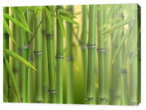 Las pędów bambusa