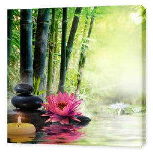 masaż w naturze - lilia, kamienie, bambus - koncepcja zen