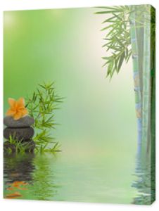 kompozycja wodna masaż relaksacyjny zen