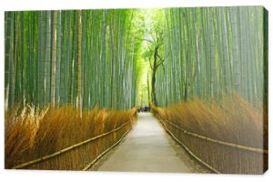 bambusowy rowek