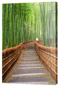Ścieżka do bambusa lasu, Arashiyama, Kyoto, Japonia