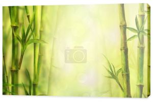 Bambus spa tła. Akwarela ręcznie rysowane ilustracja botaniczna z miejsca na tekst. Akwarela Bambusy rośliny chińskie orientalne projekt. Ramki granicy lasu na słoneczny niewyraźne tło