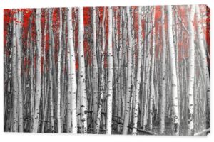 Czerwony drzew w surrealistyczne biało-czarny Las Krajobraz sceny
