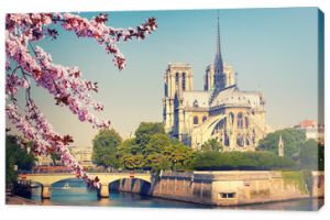 Notre Dame de Paris na wiosnę, Francja