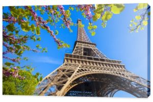Wieża Eiffla z drzewa wiosna w Paryżu, Francja