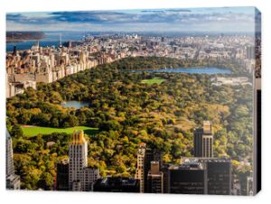 Widok z lotu ptaka na Central Park w Nowym Jorku na Manhattanie