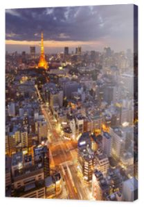 Panorama Tokio, Japonia z wieżą Tokyo Tower w nocy